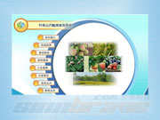 三資管理、陽光村務、一網(wǎng)通觸控查詢系統(tǒng)